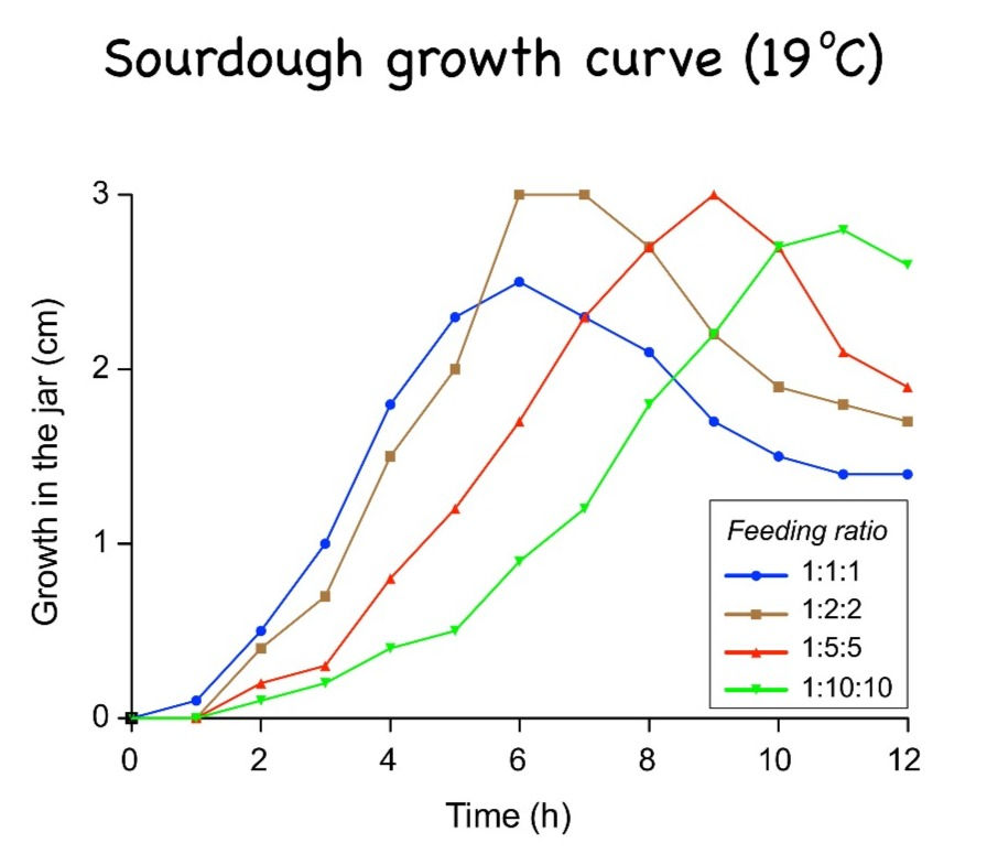 sourdough-feeding-ratio
